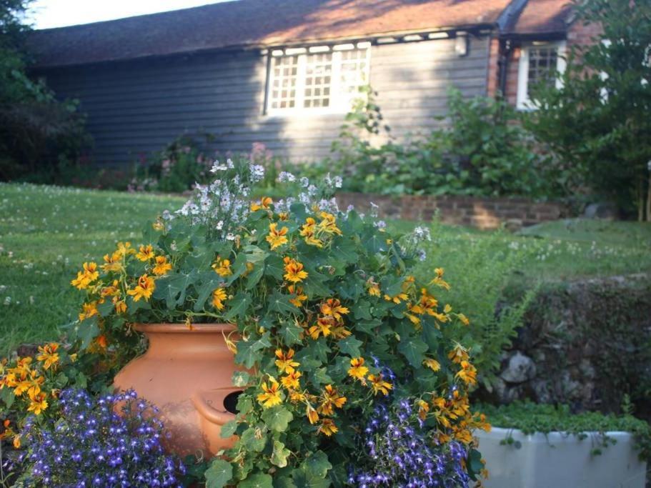 Oak House Farm Apartment Идънбридж Екстериор снимка